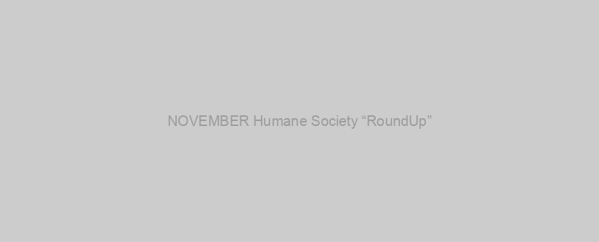 NOVEMBER Humane Society “RoundUp”